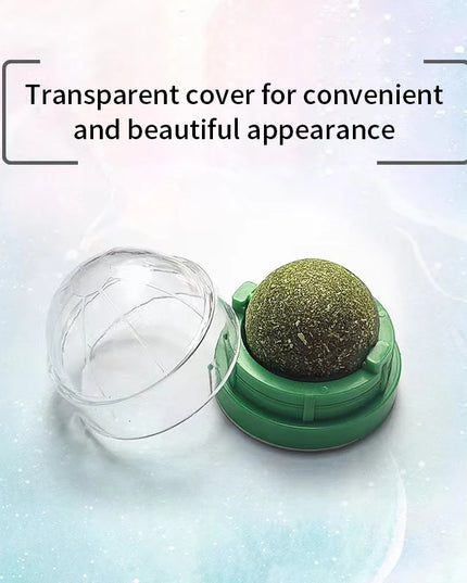 Natural Mint Grass Spinning Ball For Cats