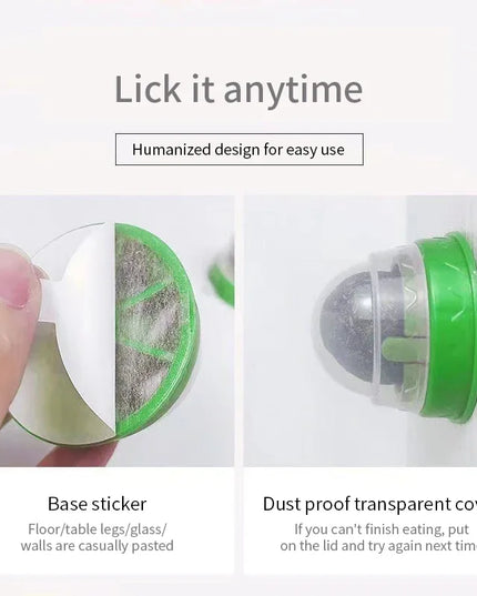 Natural Mint Grass Spinning Ball For Cats