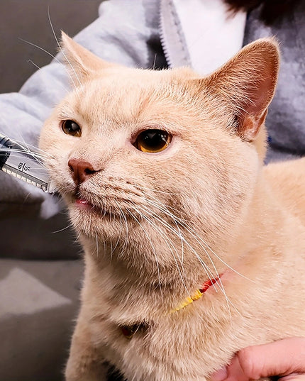 Disposable Pet Syringe Feeder