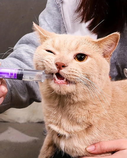 Disposable Pet Syringe Feeder