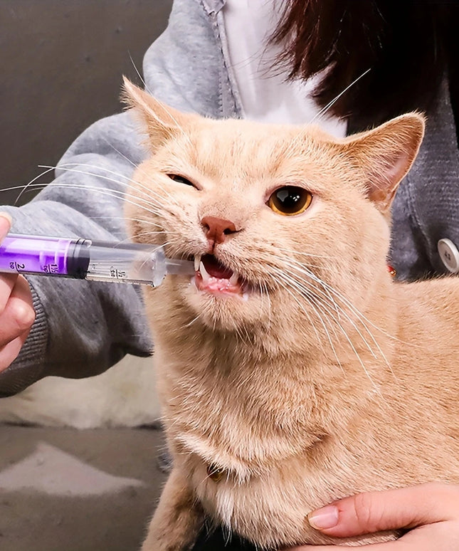 Disposable Pet Syringe Feeder