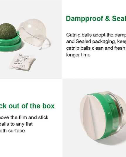 Natural Mint Grass Spinning Ball For Cats