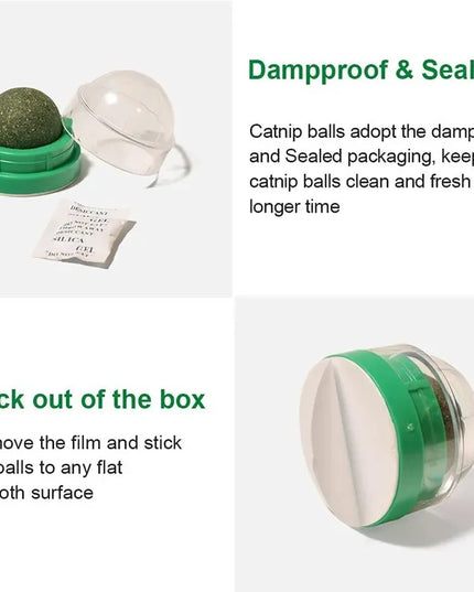 Natural Mint Grass Spinning Ball For Cats