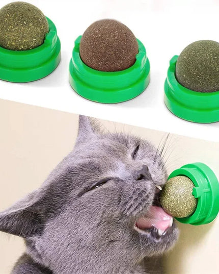Natural Mint Grass Spinning Ball For Cats