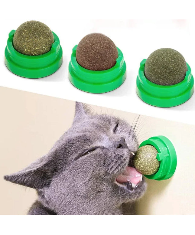 Natural Mint Grass Spinning Ball For Cats