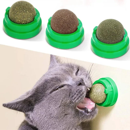 Natural Mint Grass Spinning Ball For Cats