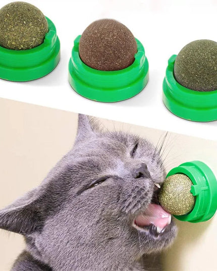 Natural Mint Grass Spinning Ball For Cats