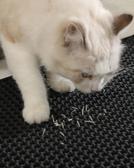 Cat Litter Mat
