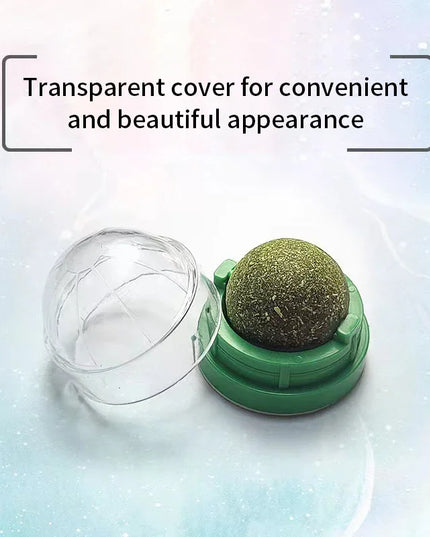 Natural Mint Grass Spinning Ball For Cats