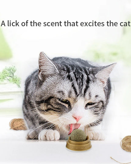 Natural Mint Grass Spinning Ball For Cats